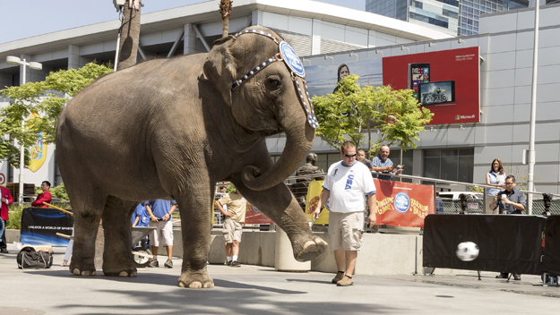 Ringling Bros. Elephant (Photo by Rich Polk/Getty Images)