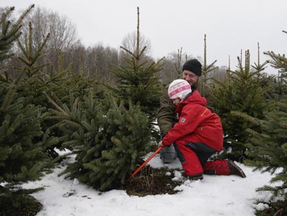 Best Places To Buy Christmas Trees Cbs Pittsburgh