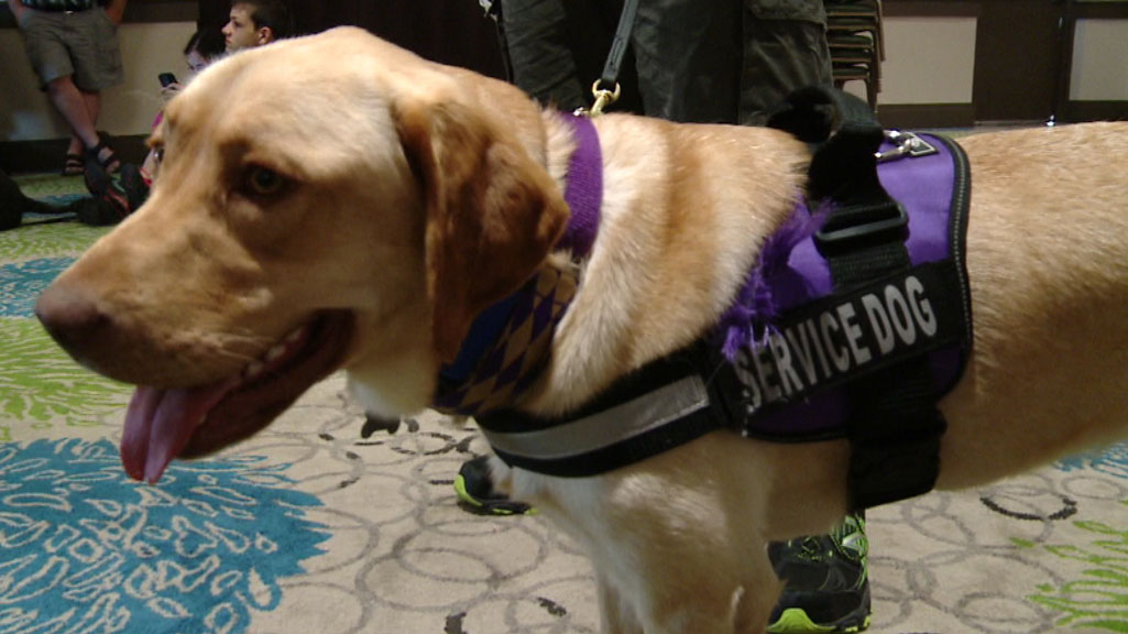 3 Epilepsy Patients Paired With Service Dogs Through The Oscar ...