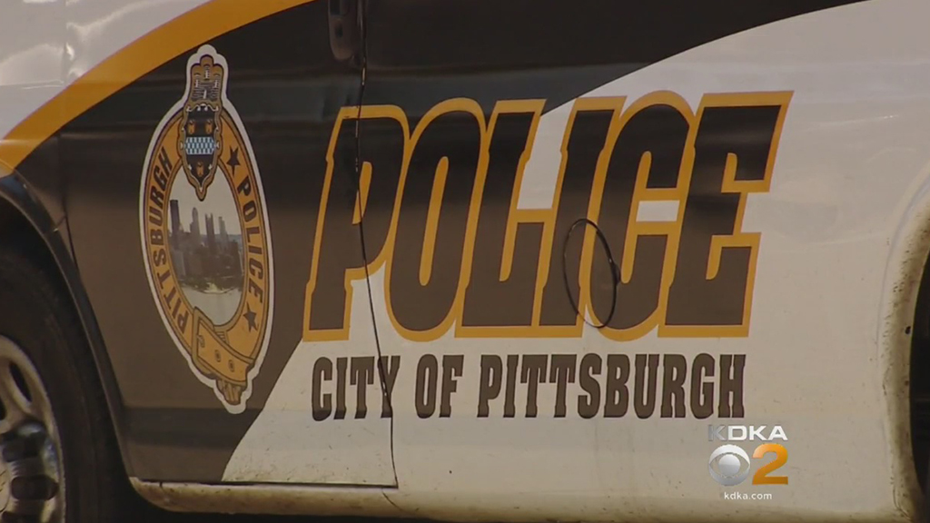 Off-Obligation Pittsburgh Police Officer Shoots Pit Bull Attacking His Canine – CBS Pittsburgh