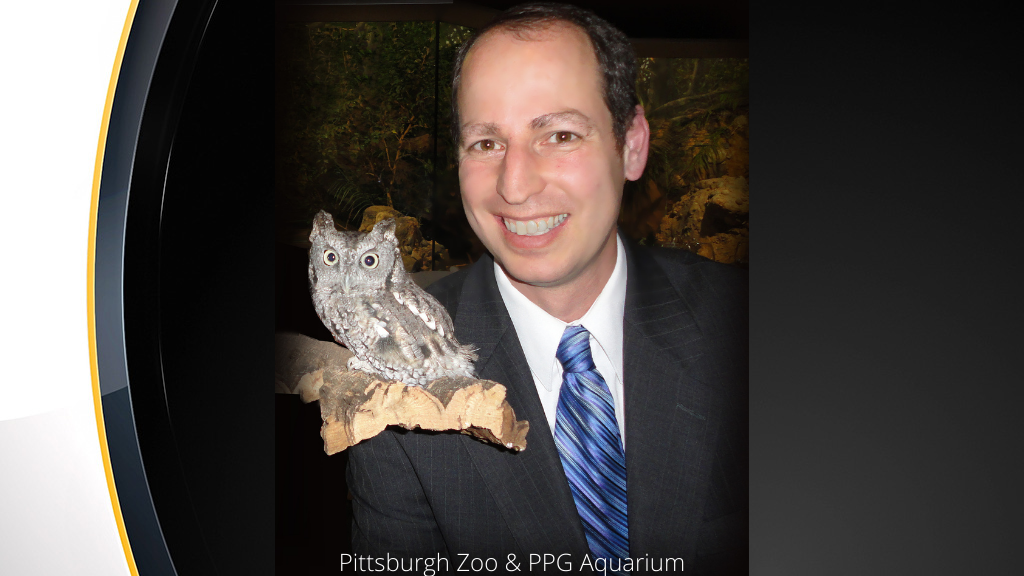 Pittsburgh Zoo And PPG Aquarium Names Veterinarian Dr. Jeremy Goodman New President, CEO – CBS Pittsburgh